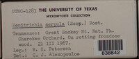 Image Associated With the Occurence